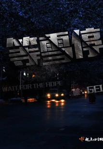 Wait for the Snow to Stop