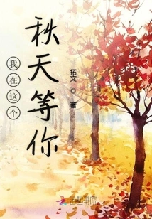 Different Valentine's Day Gifts