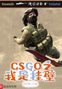 Csgo: I Am Hanging on the Wall