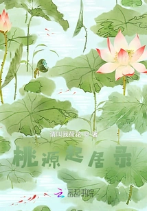 Taoyuan Daily Life Record