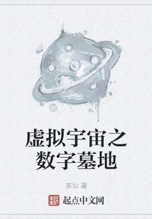 Digital Cemetery of Virtual Universe