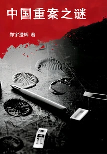 The Mystery of China's Serious Crime