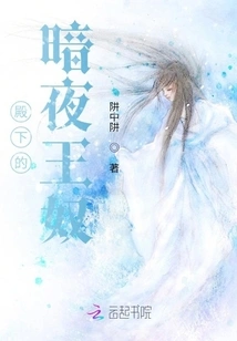 His Highness's Night Slave