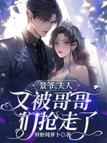 Mr. Jing, My Wife Was Snatched Away by My Brothers Again