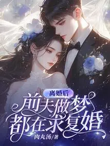 After the Divorce, My Ex-husband Always Dreamed of Remarrying