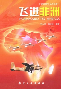Fly into Africa