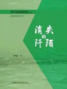 The Disappearing Streets