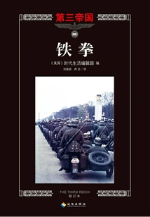 Third Reich Series 2: Iron Fist