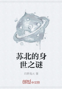 The Mystery of Su Bei's Life Experience