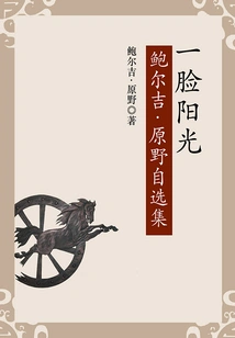 A Face of Sunshine: Selected Works of Balji Wilderness