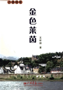 The Golden Rhine: Essays from a Visit to Germany