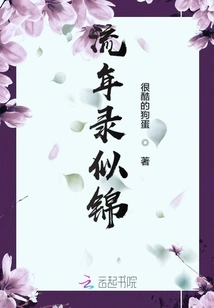 The Fleeting Record is Like a Brocade