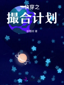 Quick Travel Matchmaking Plan