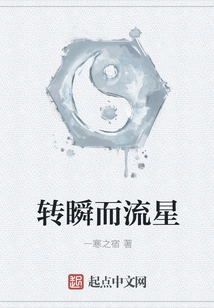 Meteor in a Blink of an Eye