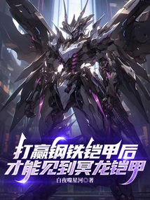 You Can Only See the Dark Dragon Armor after Defeating the Steel Armor