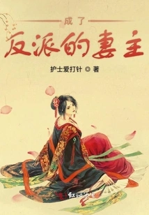 Became the Villain's Wife