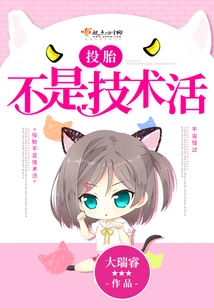 Reincarnation is Not a Technical Job