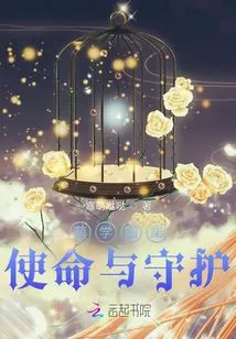 Meng Academy 7 Mission and Protection