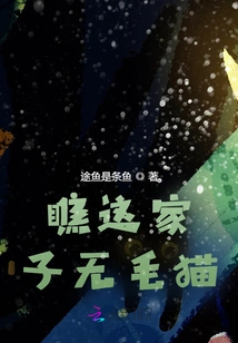 Look at This Hairless Cat