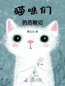 The Adventures of Cats