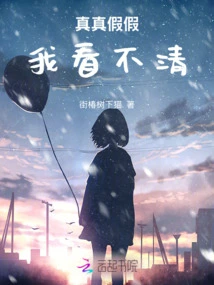 I Can't See Clearly Whether It's True or False