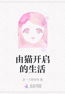 A Life Started by Cats