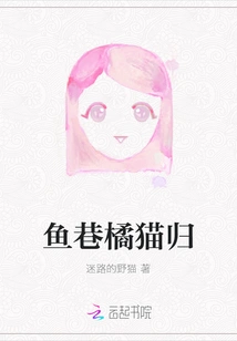 The Return of the Orange Cat in Yuxiang