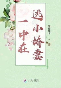 Little Wife on the Run