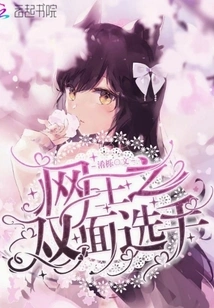 King of Nets: Two-sided Player