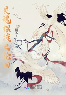 Soul Ferry Reincarnation