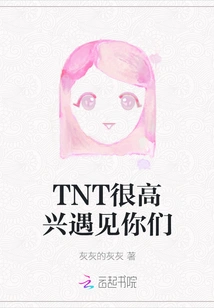 Tnt Nice to Meet You