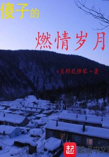 A Fool's Passionate Years