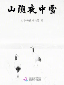 It Snows at Night in Sanyin