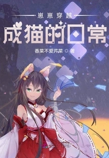 Zaizai Travels Through the Daily Life of an Adult Cat