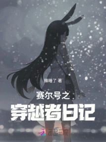 Seer's Diary of a Traveler