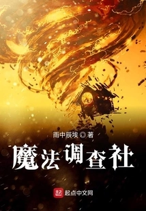 Magical Investigation Agency