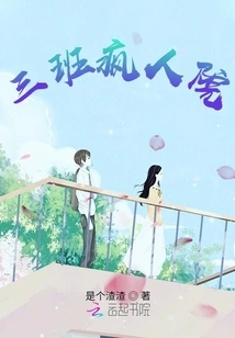 Class 3 Lunatic Asylum