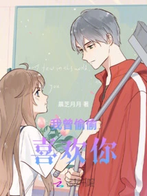 I Once Secretly Liked You