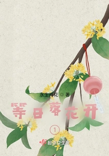 Waiting for Sunset and Flowers Blooming 1