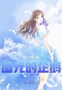 Penguin Chasing Light