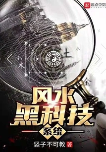 Feng Shui Black Technology System