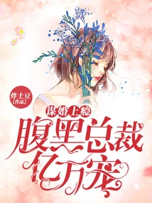 Addicted to Marriage: the Shady Ceo is Loved by Millions