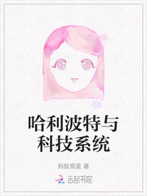 Harry Potter and Technology Systems