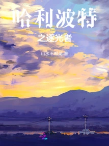 Harry Potter: Light Chaser