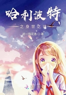 The Mystery of Harry Potter's Life Experience