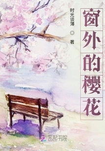 Sakura Outside the Window