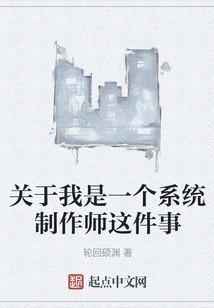 About the Fact That I Am a System Developer