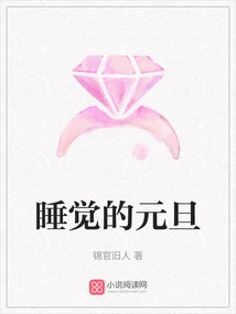 Sleeping New Year's Day