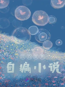 Self-written Novel by Concave and Convex World