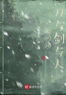 A Sword Master Fell from the Sky